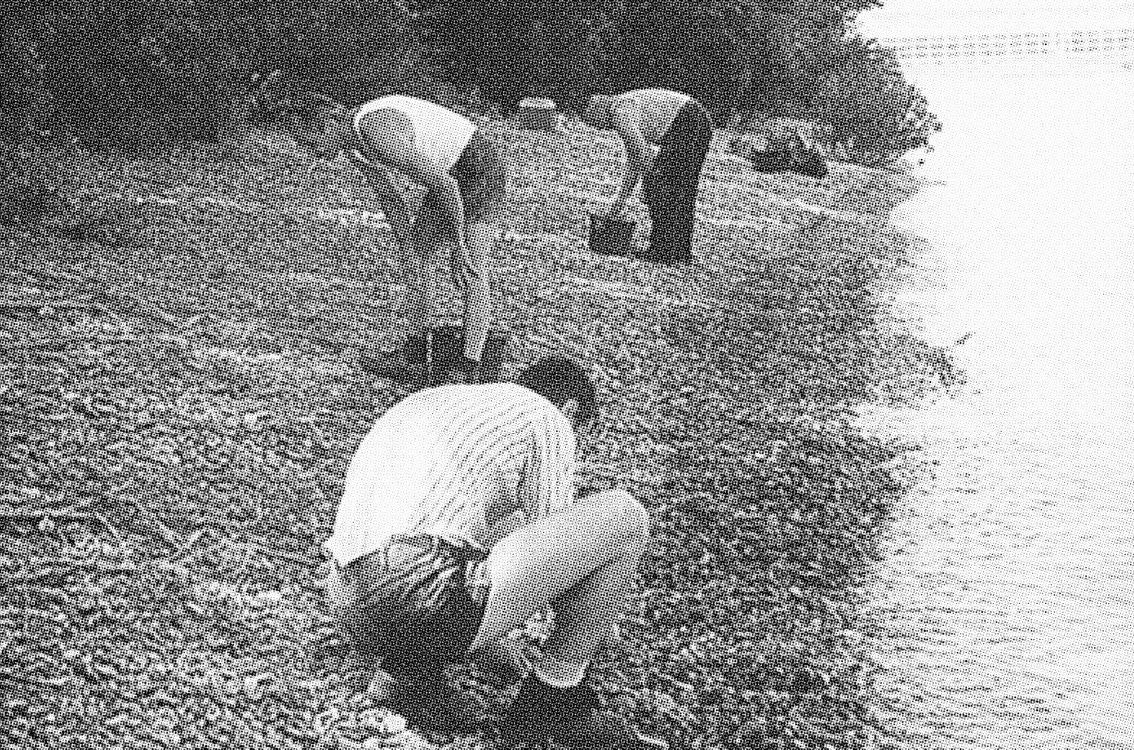 Workers collect stones at the river, © Stadt Freiburg, Garten- und Tiefbauamt