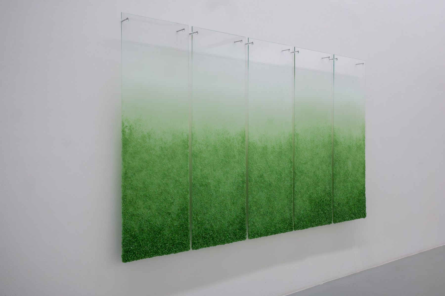 Andreas von Ow, Installation view, Biennale für Freiburg #1, Photo: Marc Doradzillo