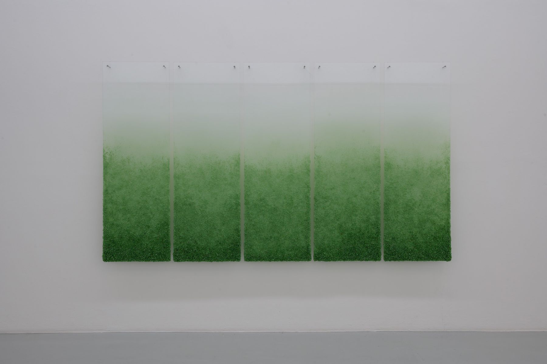 Andreas von Ow, Installation view, Biennale für Freiburg #1, Photo: Marc Doradzillo